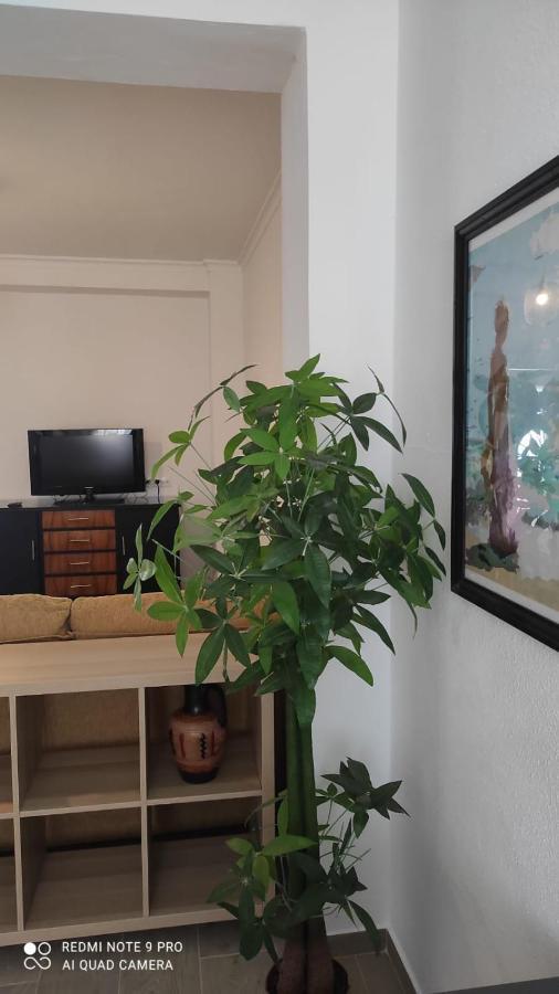 Casa Tia Pilar Villa Algodonales Eksteriør billede